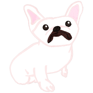 French bulldog looking amazed