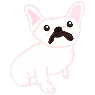 French bulldog looking amazed