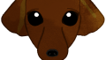 animal dog face 01