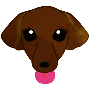 Dog with face only, tongue sticking out