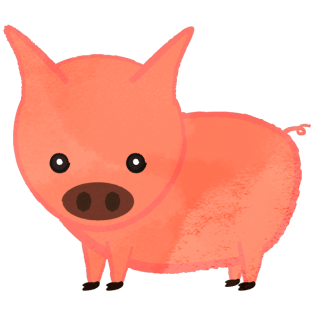 Little Pig looking from the side what's up!?