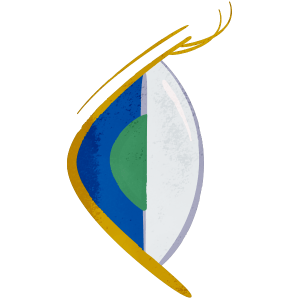 Non-Keratoconus Normal Eye side view