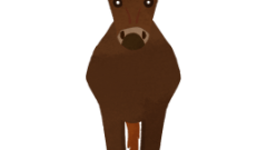 animal brown horse 01 entire body normal 268