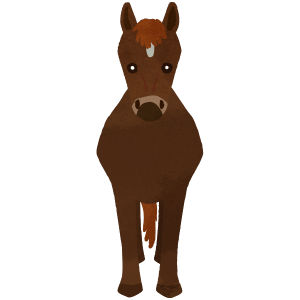 Brown horse entire body normal
