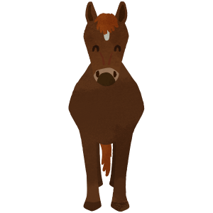Brown horse entire body smiling