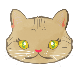 Brownish American shorthair cat face only female