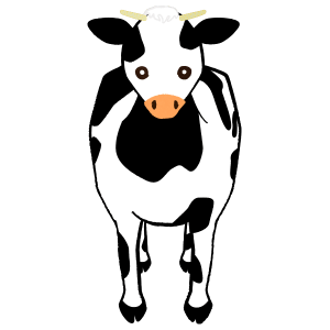 Cow entire body front normal