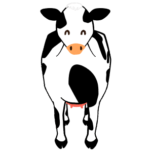 Cow entire body front female smiling
