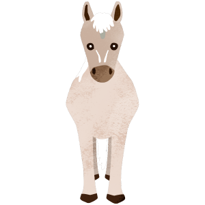 White horse entire body normal