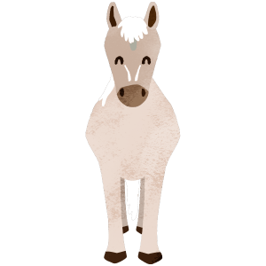 White horse entire body smiling