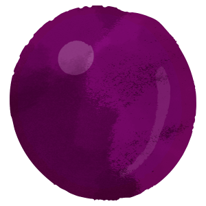 A grain of grape