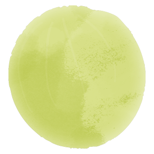 A grain of white grape