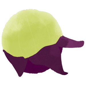 A grain of peeled grape