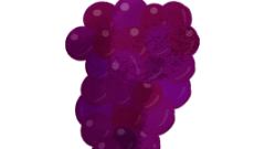 food a tuft of grapes 01 268