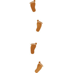 Brown Footprints