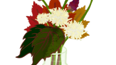 nature vase autumn flowers 268