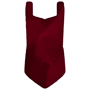 Ballet- Dark Red Leotard