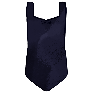 Ballet- Navy Blue Leotard