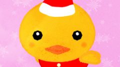 Animals in Santa Outfits