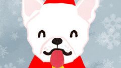 animals in santa outfit part 2