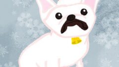 animals in santa outfit part 4