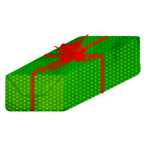 Christmas Green Long Present Box 2