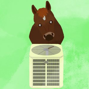Horse Looking At Air Conditioner Outdoor Unit Spinning Its Eyes
