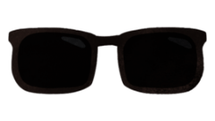 life sunglass 268