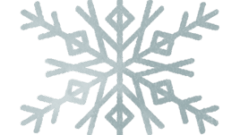 nature snow flake 268