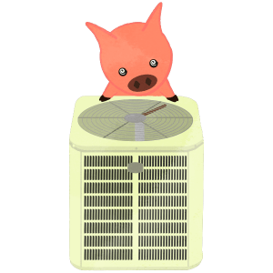 Pig Looking At Air Conditioner Outdoor Unit Spinning Its Eyes