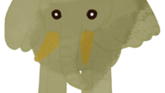 animals front view of normal african elephant 268