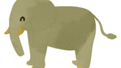 animals sideview of smiling african elephant 268