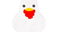 chicken front view 268