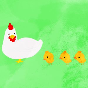 Chicks Going After Hen Side View