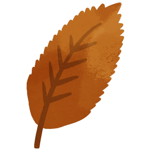 Nature Brown Tree Leaf