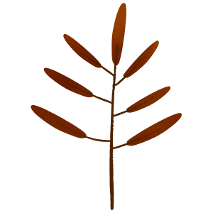 Nature Brown Tree Leaves