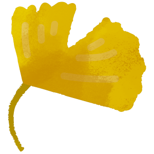 Nature Ginkgo Tree Leaf