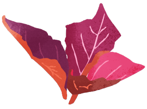 Nature Pinkish Purple Tree Leaf
