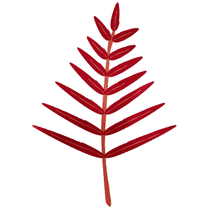 Nature Red Tree Leaves