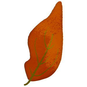 Nature Reddish Brown Tree Leaf