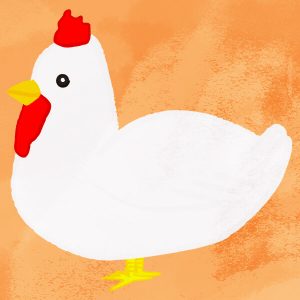 Normal Chicken Side View