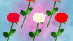 one rose flowers 268