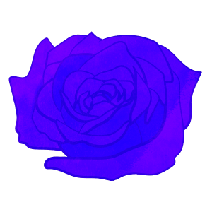 Flower Only Blue Rose