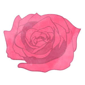 Flower Only Light Pink Rose
