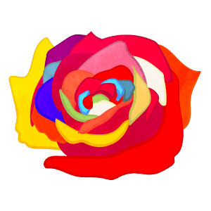 Flower Only Rainbow Rose