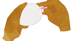 how to make an easter egg 01 f 268