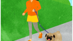 lady running with pug in nature c 268
