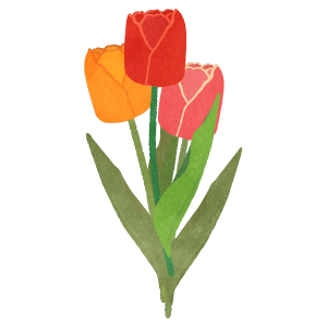 Bundle Of Tulip Flowers