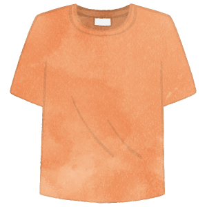 Orange T Shirt