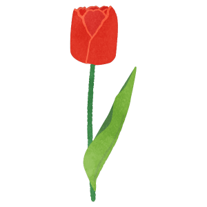 Red Tulip Flower